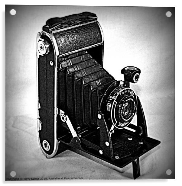 Voigtlander Vintage Film Camera in Black and White Acrylic by Terry Senior