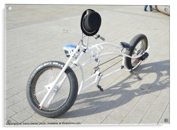 Custom Built Bicycles on show in Doncaster Market Square Acrylic by Terry Senior