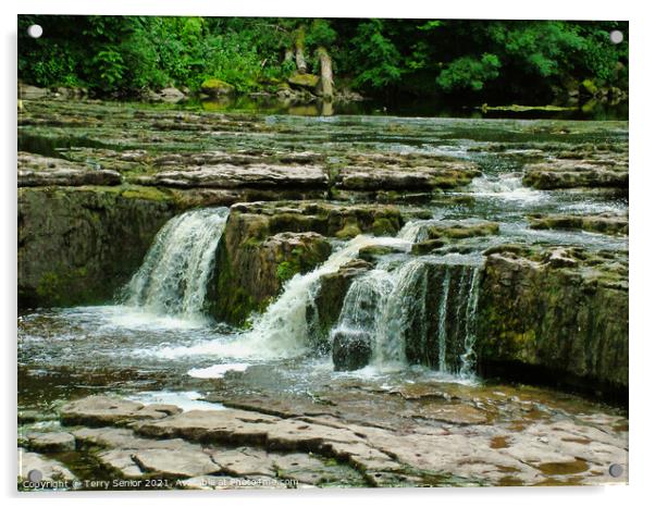 Aysgarth Falls top flight of the waterfalls Acrylic by Terry Senior