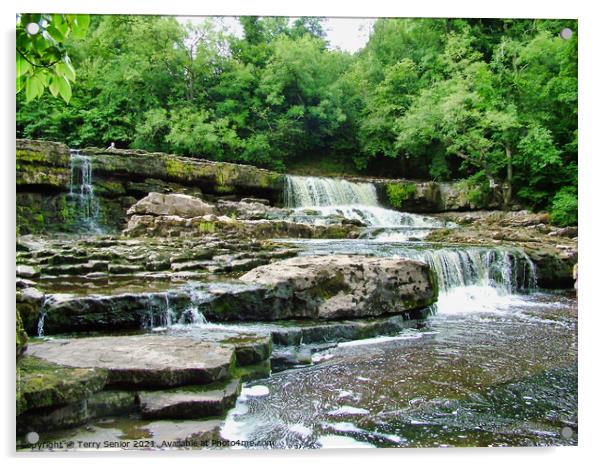 Top flight of Aysgarth Falls on the River Ure in t Acrylic by Terry Senior