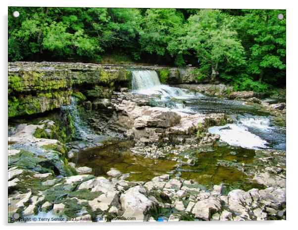 A rocky River Ure at Aysgarth Falls in the Yorkshi Acrylic by Terry Senior