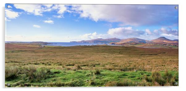 Panorama of Sligachan, Cuillin Hills, Isle of Skye Acrylic by Terry Senior