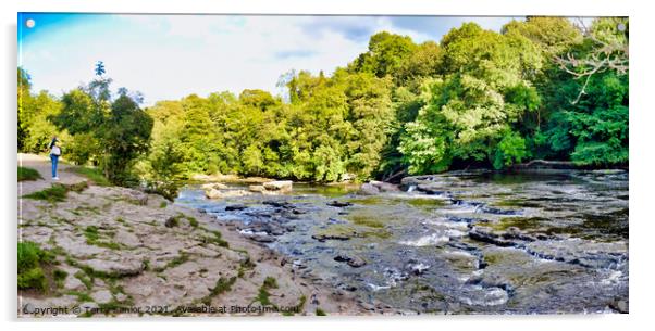 Panoramic view from the Upper Falls at Aysgarth Falls Acrylic by Terry Senior