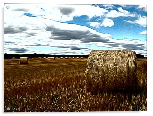Hay making agricultural landscape airbrushed  Acrylic by Terry Senior