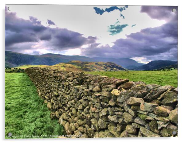 Drystone Wall in Cumbria Lake District  Acrylic by Terry Senior