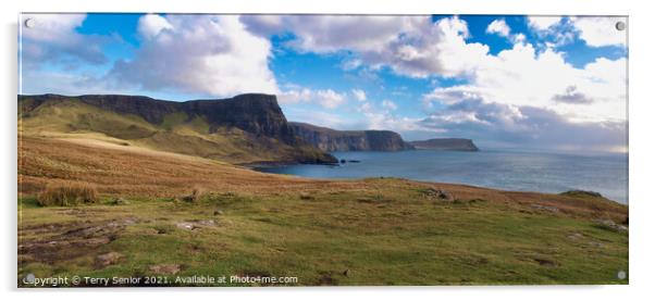 Neist Point, Moonen Bay, Isle of Skye Acrylic by Terry Senior
