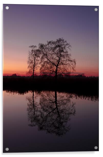 Reflective Tree at Sunset Acrylic by Paul Macro