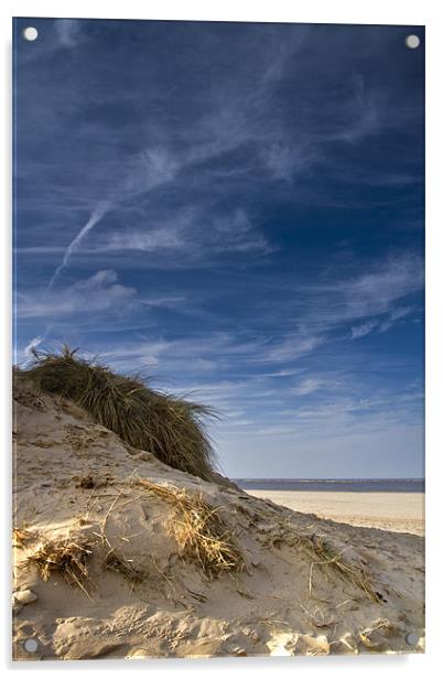 Norfolk Dunes Acrylic by Paul Macro