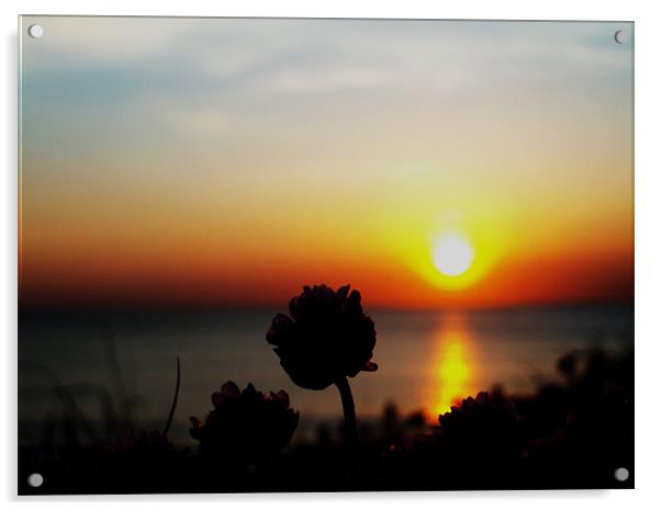 Flowery Sunset Acrylic by Tom Martin