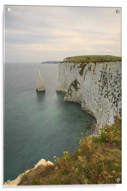 The Pinnacles at Old Harry Rocks Acrylic by Ian Middleton