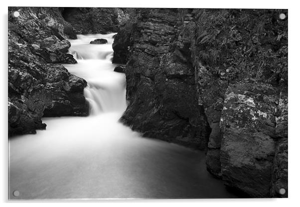 The Soteska Vintgar gorge in Black and White Acrylic by Ian Middleton