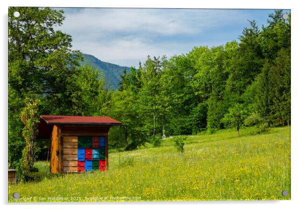 Beekeeping in Slovenia Acrylic by Ian Middleton