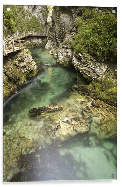 The Soteska Vintgar gorge Acrylic by Ian Middleton