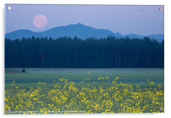 Full Moon setting over mountains and rapeseed Acrylic by Ian Middleton