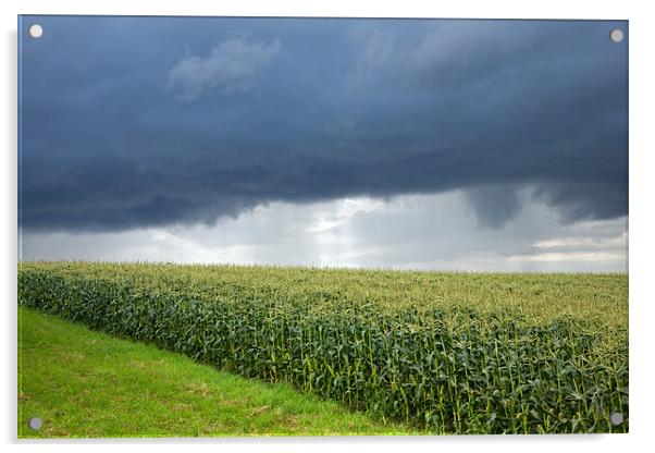 Storm over cornfield in Southern Germany Acrylic by Ian Middleton