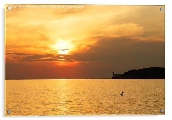 Sunset over Trieste Bay Acrylic by Ian Middleton