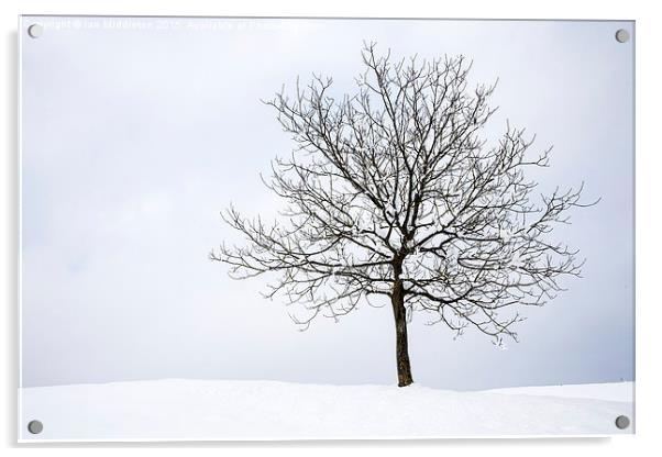 Winter Acrylic by Ian Middleton