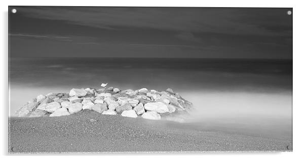 Beach at Nice in Black and White Acrylic by Ian Middleton