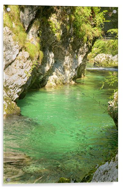 The Vintgar gorge, Gorje, near Bled, Slovenia Acrylic by Ian Middleton