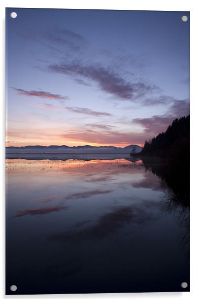 Cerknica lake at dawn, Notranjska, Slovenia Acrylic by Ian Middleton