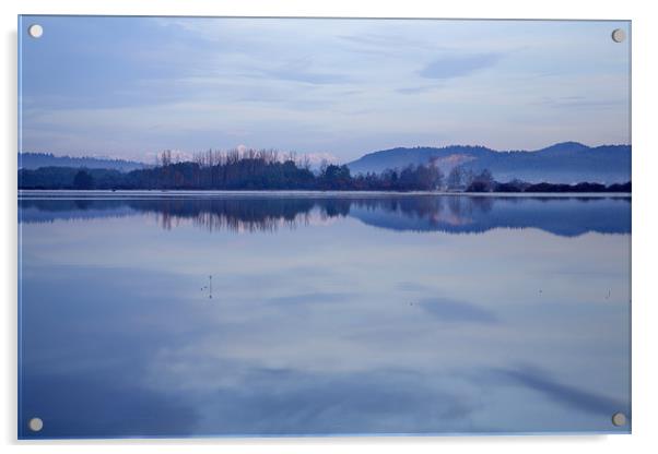 Cerknica lake at dawn with snow covered alps Acrylic by Ian Middleton