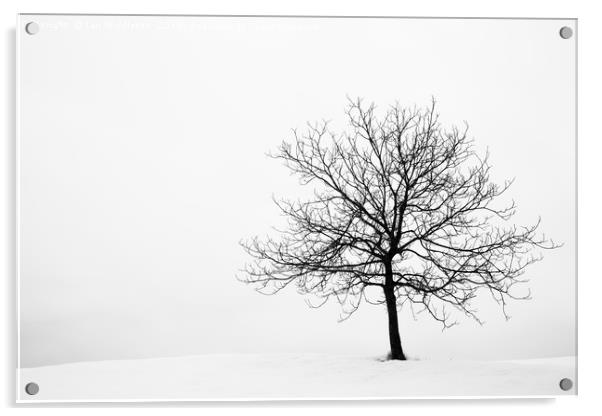Winter Acrylic by Ian Middleton