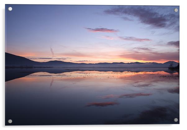 Cerknica lake at dawn, Notranjska, Slovenia Acrylic by Ian Middleton