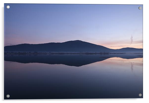 Cerknica lake at dawn, Notranjska, Slovenia Acrylic by Ian Middleton