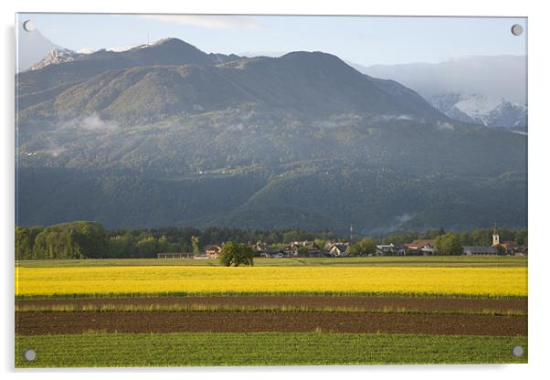 rapeseed field in Brnik with Kamnik Alps and Krvav Acrylic by Ian Middleton