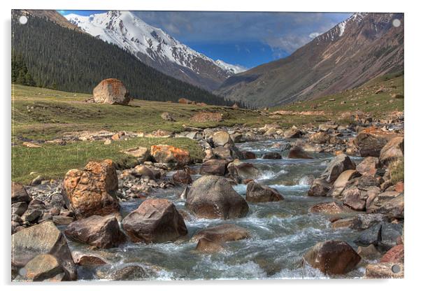 Mountain stream Acrylic by Sergey Golotvin