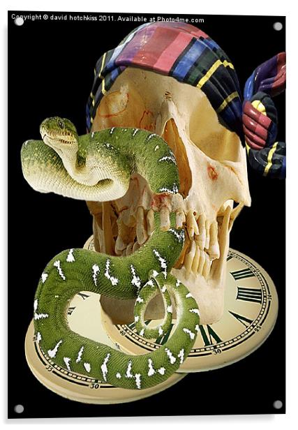 TIME TO SNAKE OUT Acrylic by david hotchkiss