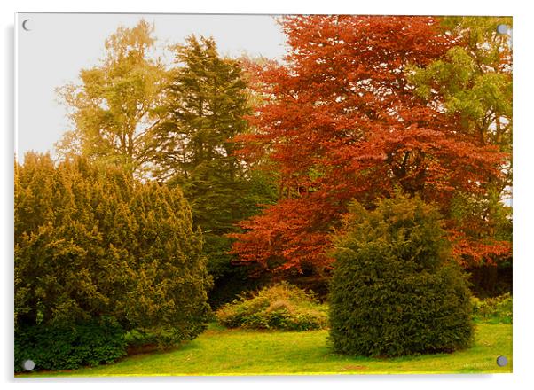 garden of peace Acrylic by david hotchkiss