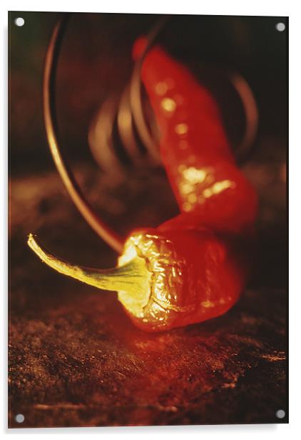 Red pepper Acrylic by Jean-François Dupuis