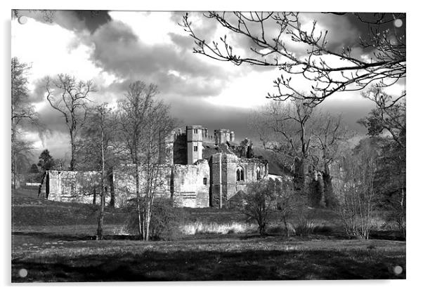 Kenilworth castle Acrylic by Stuart Thomas