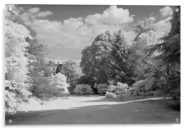 Batsford Arboretum. Acrylic by Stuart Thomas