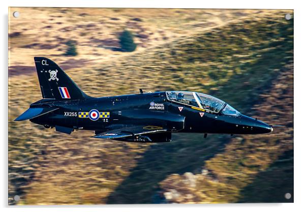 RAF Hawk TMk1 Trainer Acrylic by Oxon Images