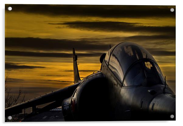 Harrier at Sunset Acrylic by Oxon Images