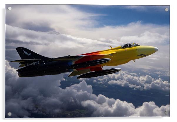 Miss Demeanour in flight Acrylic by Oxon Images