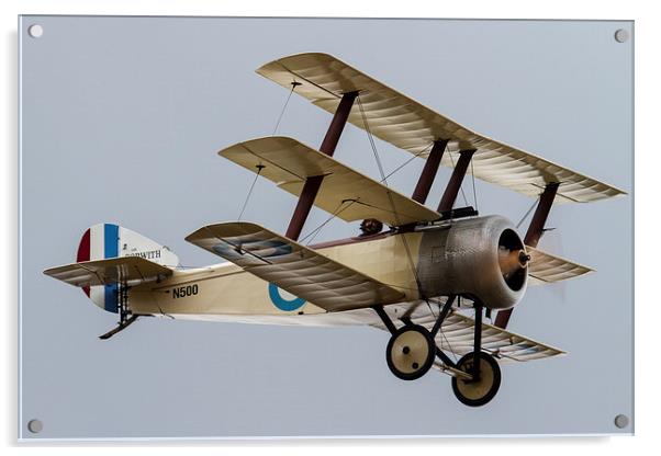 Great War Sopwith Triplane Acrylic by Oxon Images