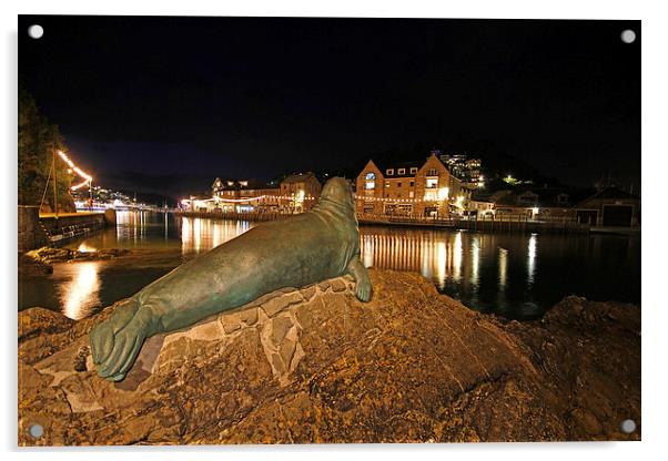 Nelson the seal at Looe Acrylic by Oxon Images