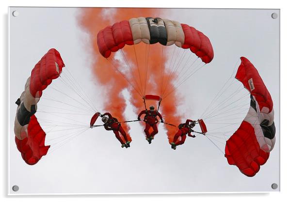  Sky Dive team Acrylic by Oxon Images