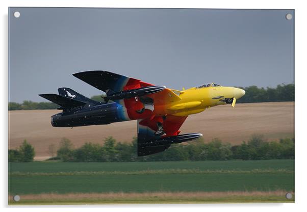 Miss Demeanour Take off Acrylic by Oxon Images