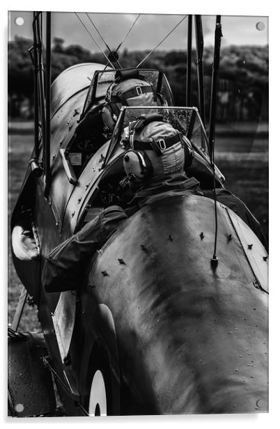 De Havilland Tiger Moth BW Acrylic by Oxon Images