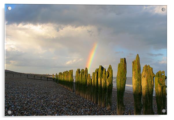 Winchelsea Beach groynes Rye Acrylic by Oxon Images