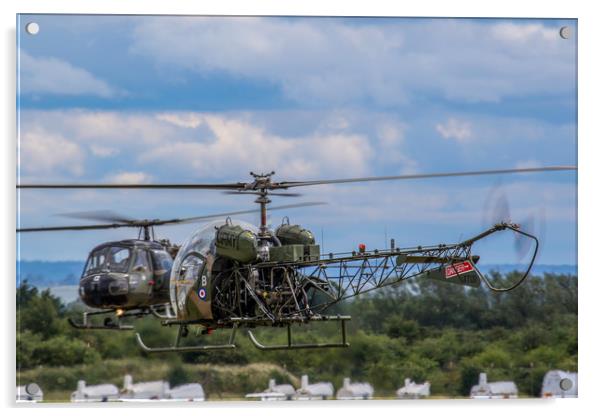Westland Scout and Sioux Helicopters Acrylic by Oxon Images