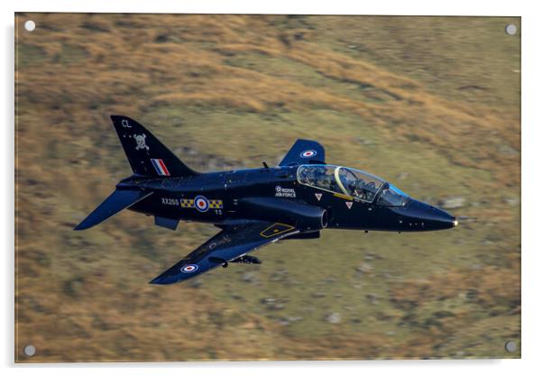 100 Sqn Hawk Mk1 Acrylic by Oxon Images