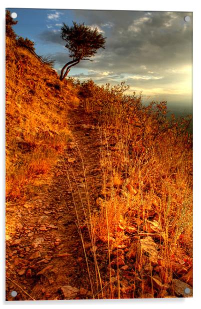 The Trail 2 Acrylic by Viraj Nagar
