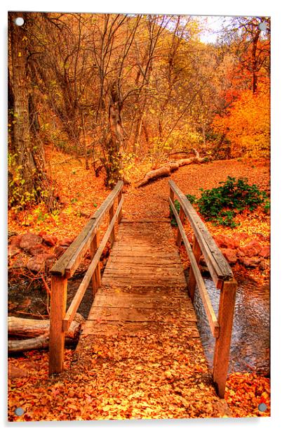 Fall Colors ! Acrylic by Viraj Nagar