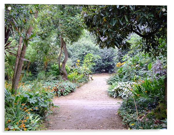 Abbotsbury Subtropical Gardens Acrylic by Ginny Gregg
