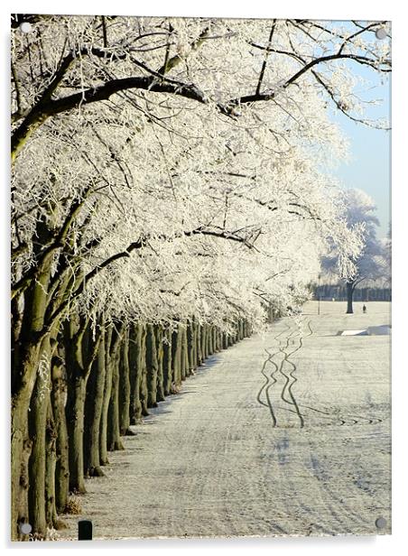 Frosty Trees on the Racecourse in Northampton Acrylic by Ginny Gregg